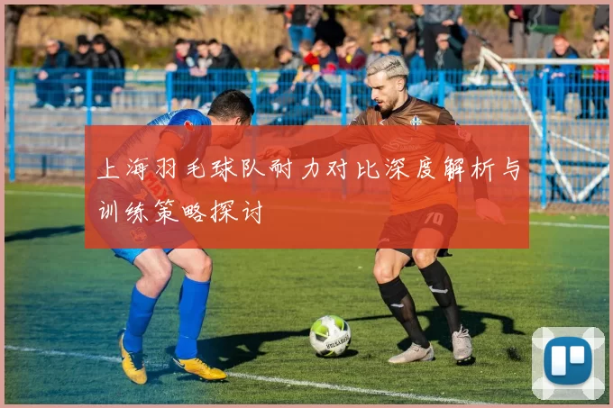 上海羽毛球队耐力对比深度解析与训练策略探讨